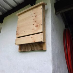 Real photo of wooden craft Bat Box from Kids Kits