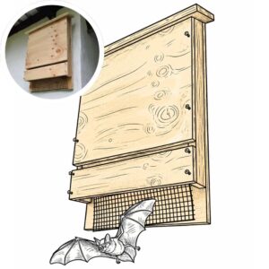 Bat Box project in a sketchbook style with a preview of the built project in the top-left corner.