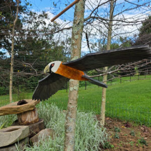 Real photo of wooden bearded vulture project from Kids Kits