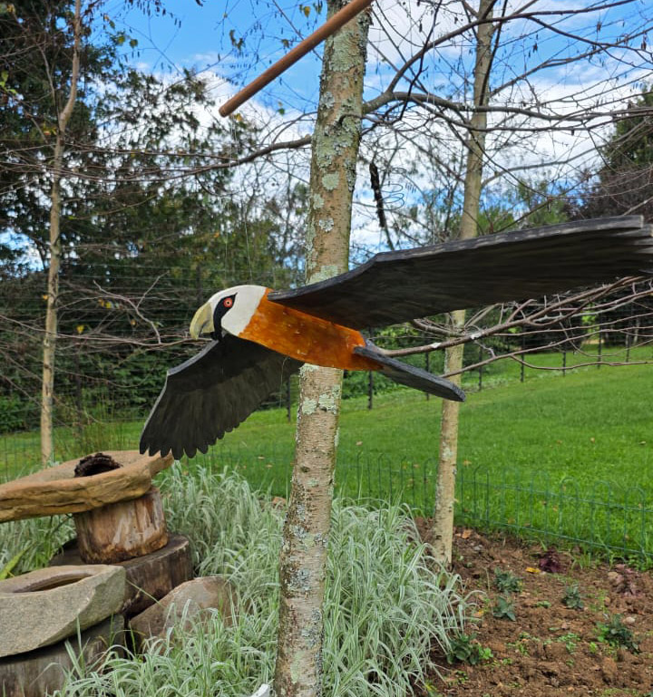 Real photo of wooden bearded vulture project from Kids Kits